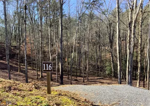 116 Jakes Lndg, Ellijay, GA 30540