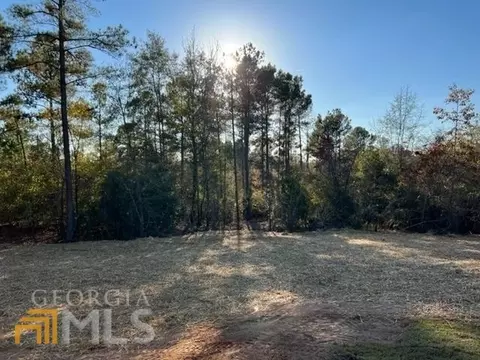 1724 Brownlee Rd, Jackson, GA 30233 photo 26