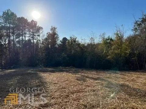 1724 Brownlee Rd, Jackson, GA 30233 photo 28