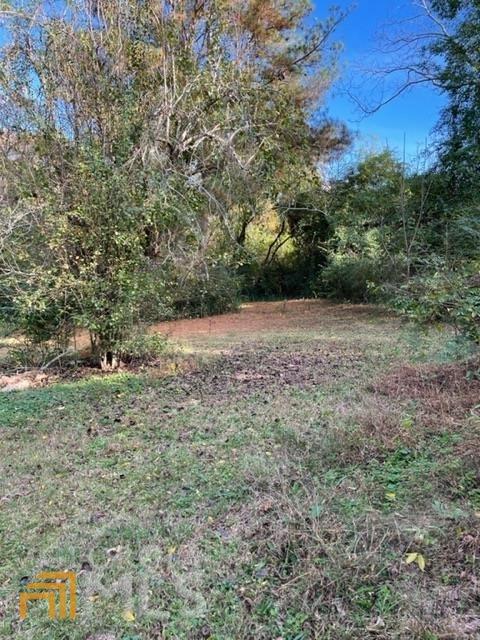 317 Wilcox Rd, Lagrange, GA 30241 photo 35