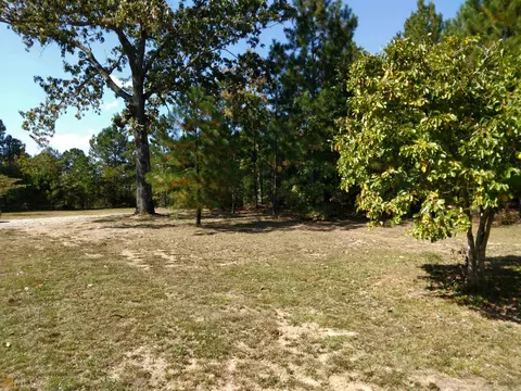 184 Slaughter Rd, Hampton, GA 30228 photo 25