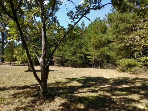 184 Slaughter Rd, Hampton, GA 30228 photo 23