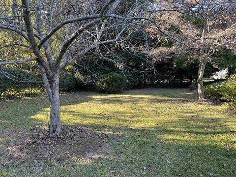 1075 Maple Dr, Griffin, GA 30224 photo 21