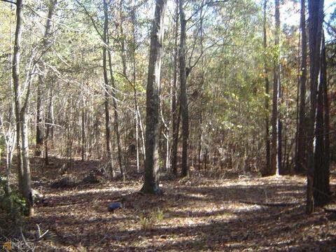 169 Potts Rd, Lagrange, GA 30240 photo 62