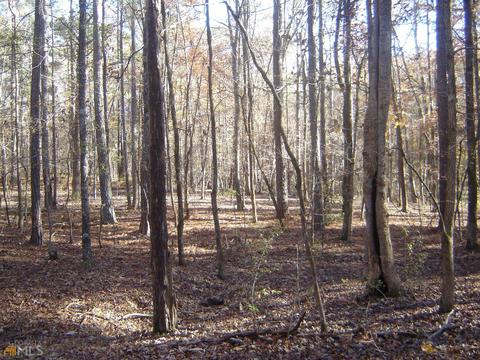 169 Potts Rd, Lagrange, GA 30240 photo 63