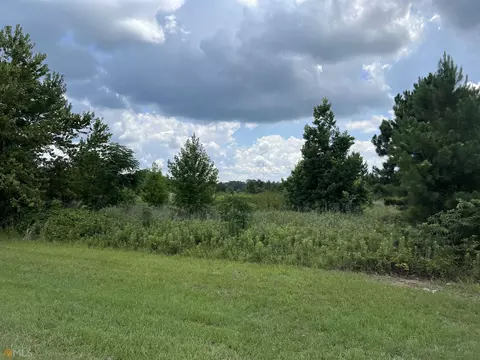 729 Firetower Rd, Dublin, GA 31021 photo 17