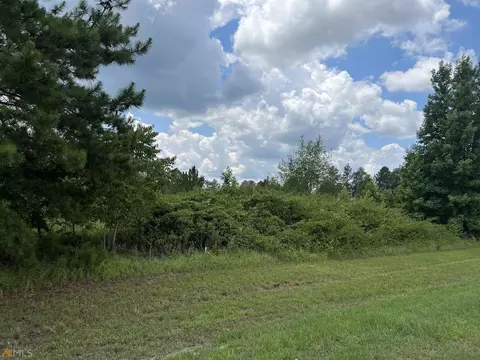 729 Firetower Rd, Dublin, GA 31021 photo 23