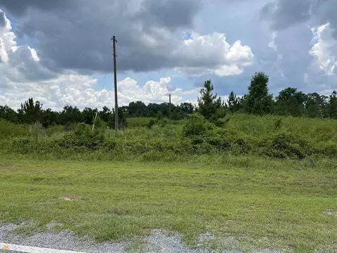 729 Firetower Rd, Dublin, GA 31021 photo 2