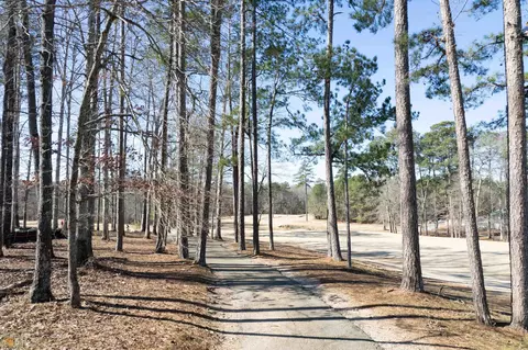 3665 Eagle View Way, Monroe, GA 30655 photo 40