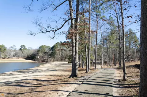 3665 Eagle View Way, Monroe, GA 30655 photo 41