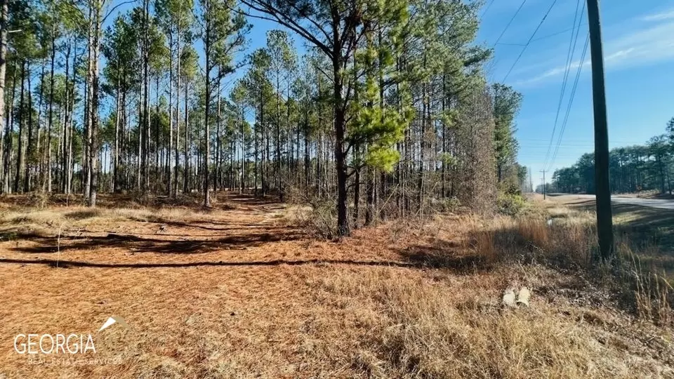 0 Bird Flanders Rd, Swainsboro, GA 30401 photo 6