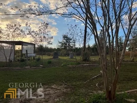 1425 Otho Rd, Abbeville, AL 36310 photo 35