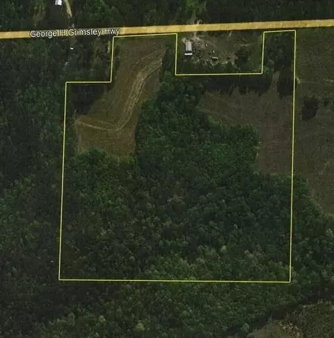 0 95 South Hwy, Abbeville, AL 36310