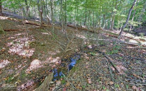 778 N Edgewater Trl, Toccoa, GA 30577 photo 52