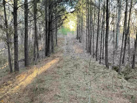 0 Anna Claire Ct #LOT 18, Monticello, GA 31064