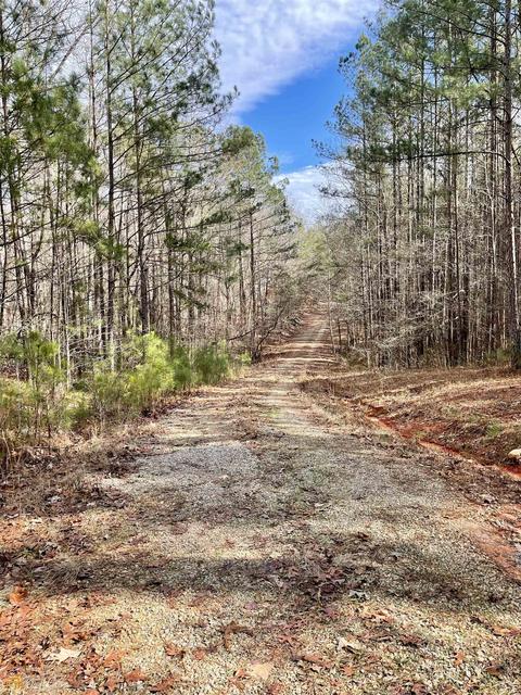 3284 Maynards Mill Rd, Forsyth, GA 31029 photo 15