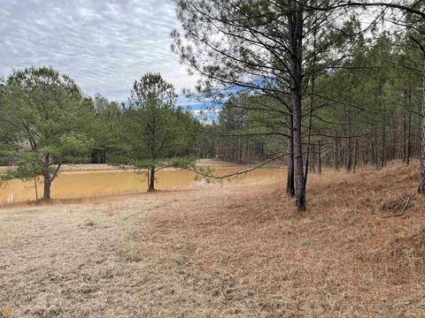 3284 Maynards Mill Rd, Forsyth, GA 31029 photo 14
