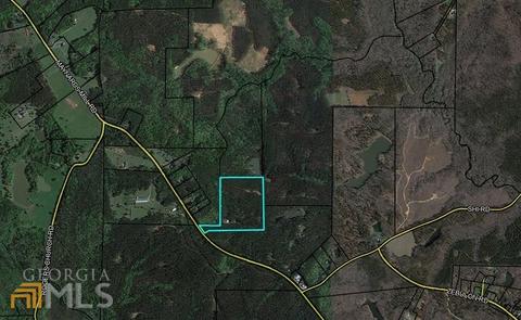 3284 Maynards Mill Rd, Forsyth, GA 31029 photo 2