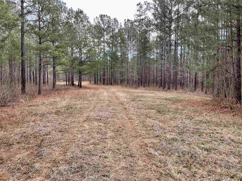3284 Maynards Mill Rd, Forsyth, GA 31029 photo 10