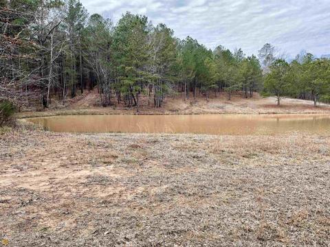 3284 Maynards Mill Rd, Forsyth, GA 31029 photo 6