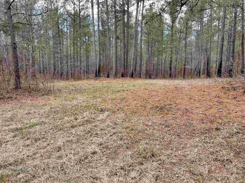 3284 Maynards Mill Rd, Forsyth, GA 31029 photo 9