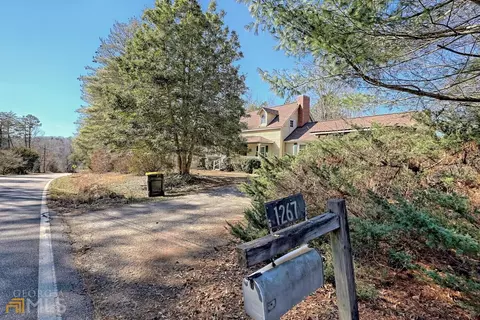 1267 E Mize Rd, Demorest, GA 30535 photo 86