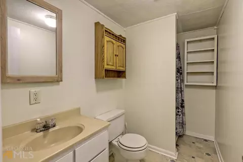 1267 E Mize Rd, Demorest, GA 30535 photo 50