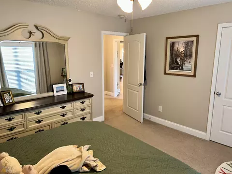 293 Middle Fork Ln, Carnesville, GA 30521 photo 36