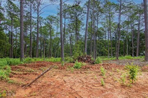 0 Fortune Hole Rd, Hamilton, GA 31811 photo 5