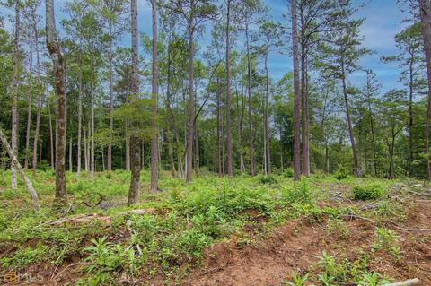 0 Fortune Hole Rd, Hamilton, GA 31811 photo 9