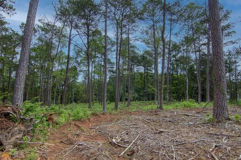 0 Fortune Hole Rd, Hamilton, GA 31811 photo 6