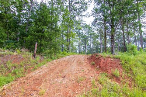 0 Fortune Hole Rd, Hamilton, GA 31811 photo 4