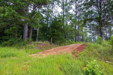 0 Fortune Hole Rd, Hamilton, GA 31811 photo 3