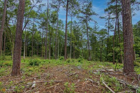 0 Fortune Hole Rd, Hamilton, GA 31811 photo 11