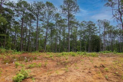 0 Fortune Hole Rd, Hamilton, GA 31811 photo 1