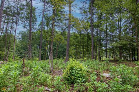 0 Fortune Hole Rd, Hamilton, GA 31811 photo 10