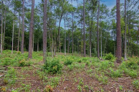 0 Fortune Hole Rd, Hamilton, GA 31811 photo 15