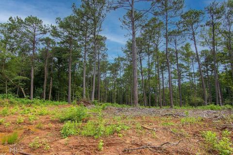 0 Fortune Hole Rd, Hamilton, GA 31811 photo 2