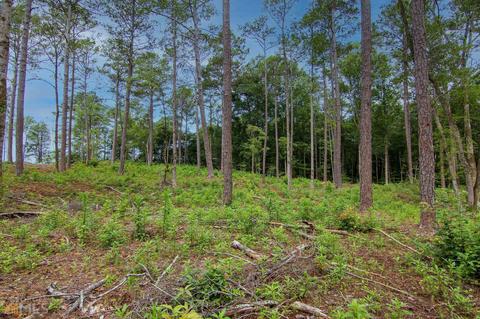 0 Fortune Hole Rd, Hamilton, GA 31811 photo 16