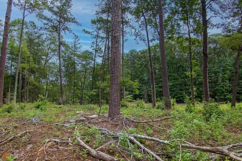 0 Fortune Hole Rd, Hamilton, GA 31811 photo 12
