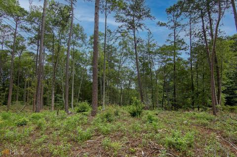 0 Fortune Hole Rd, Hamilton, GA 31811 photo 14