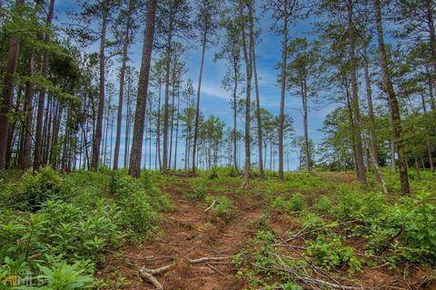 0 Fortune Hole Rd, Hamilton, GA 31811 photo 13