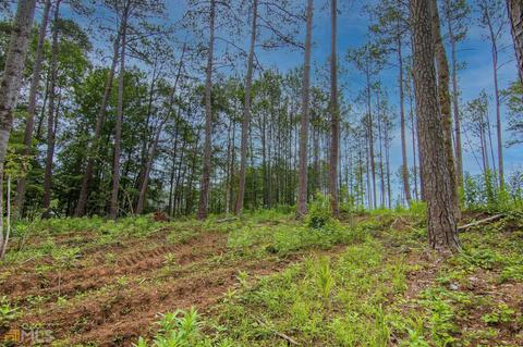 0 Fortune Hole Rd, Hamilton, GA 31811 photo 8