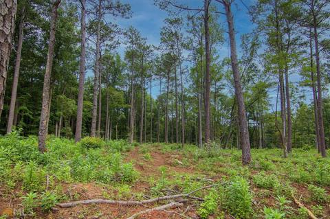0 Fortune Hole Rd, Hamilton, GA 31811 photo 7