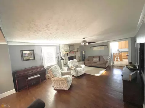 921 Sandy Flat Rd, Bowdon, GA 30108 photo 10
