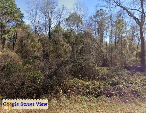 161 Thrasher Rd, Plains, GA 31780 photo 3