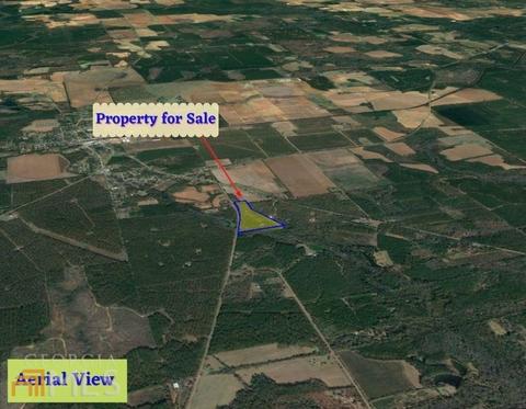 161 Thrasher Rd, Plains, GA 31780 photo 4