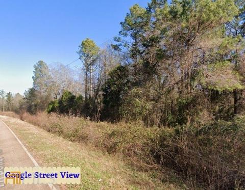 161 Thrasher Rd, Plains, GA 31780 photo 1