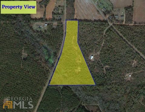 161 Thrasher Rd, Plains, GA 31780 photo 9