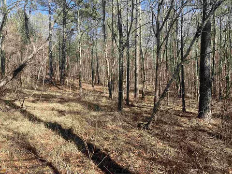 104 Tee Dr, Forsyth, GA 31029 photo 5